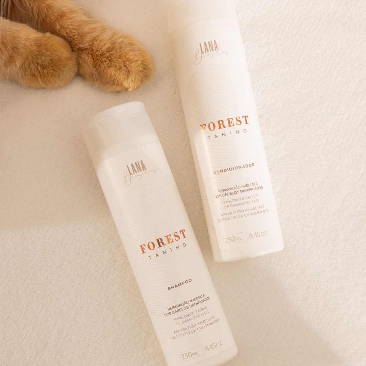 Shampooing Forest Tanino 250 ml – Lana Brasiles