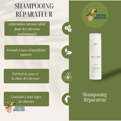 Shampoing Forest Tanino